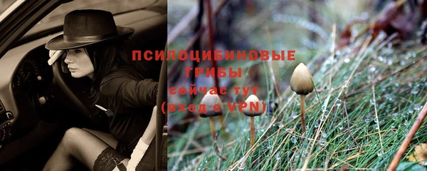ГАЛЛЮЦИНОГЕННЫЕ ГРИБЫ Луховицы
