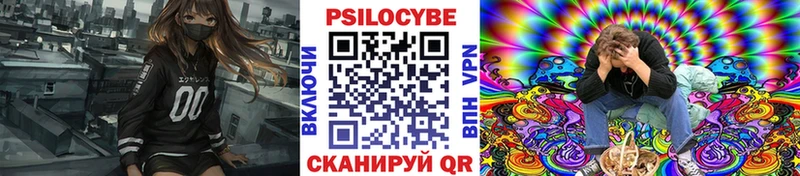 Псилоцибиновые грибы Psilocybe  Малгобек 